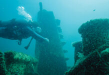Reef Diver Courtesy Fwb Destin 2